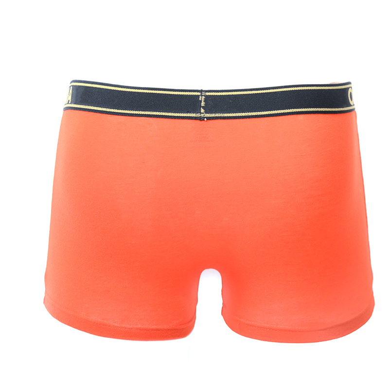 Men Trunk Underwear