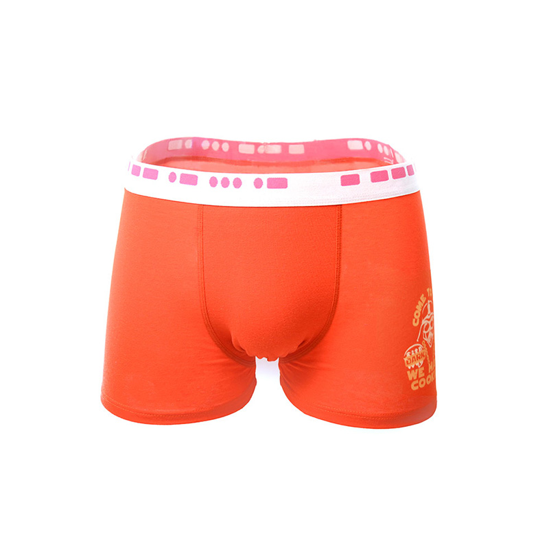 Men Panties Boxer Briefs