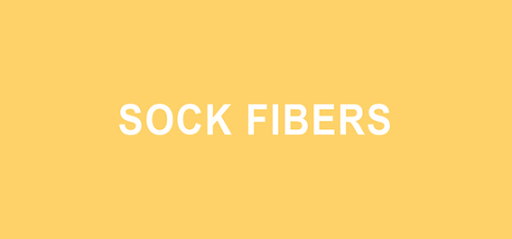 Let is Talk Sock Fibers Species