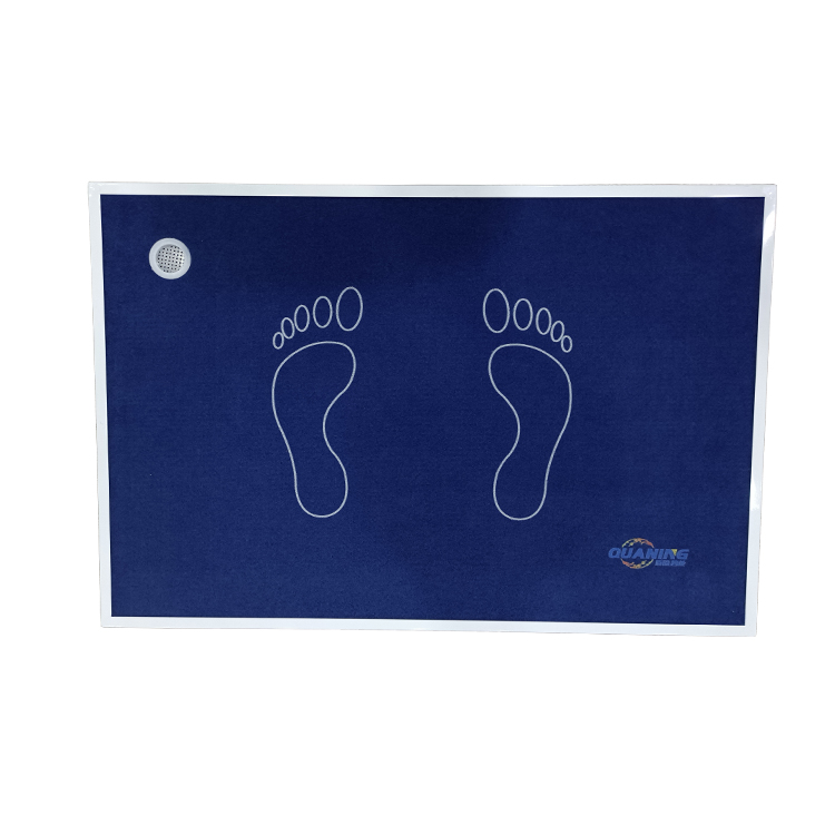 Sanitizing Disinfection Area Mat